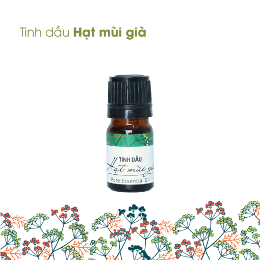Tinh dầu hạt Mùi già